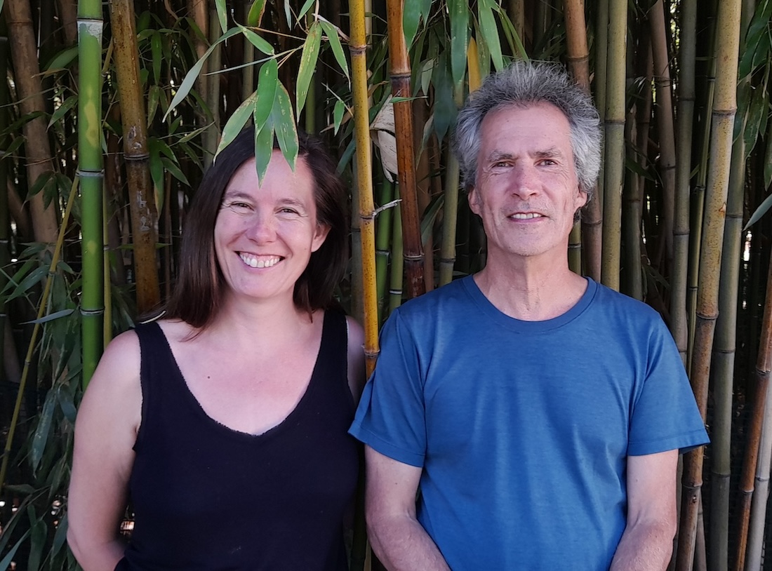 Metta Meditation course with Hannes Huber and Bianca Blaickner